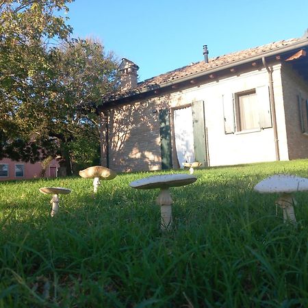 Agriturismo Fondo Novelle La Casina Ferrara Luaran gambar