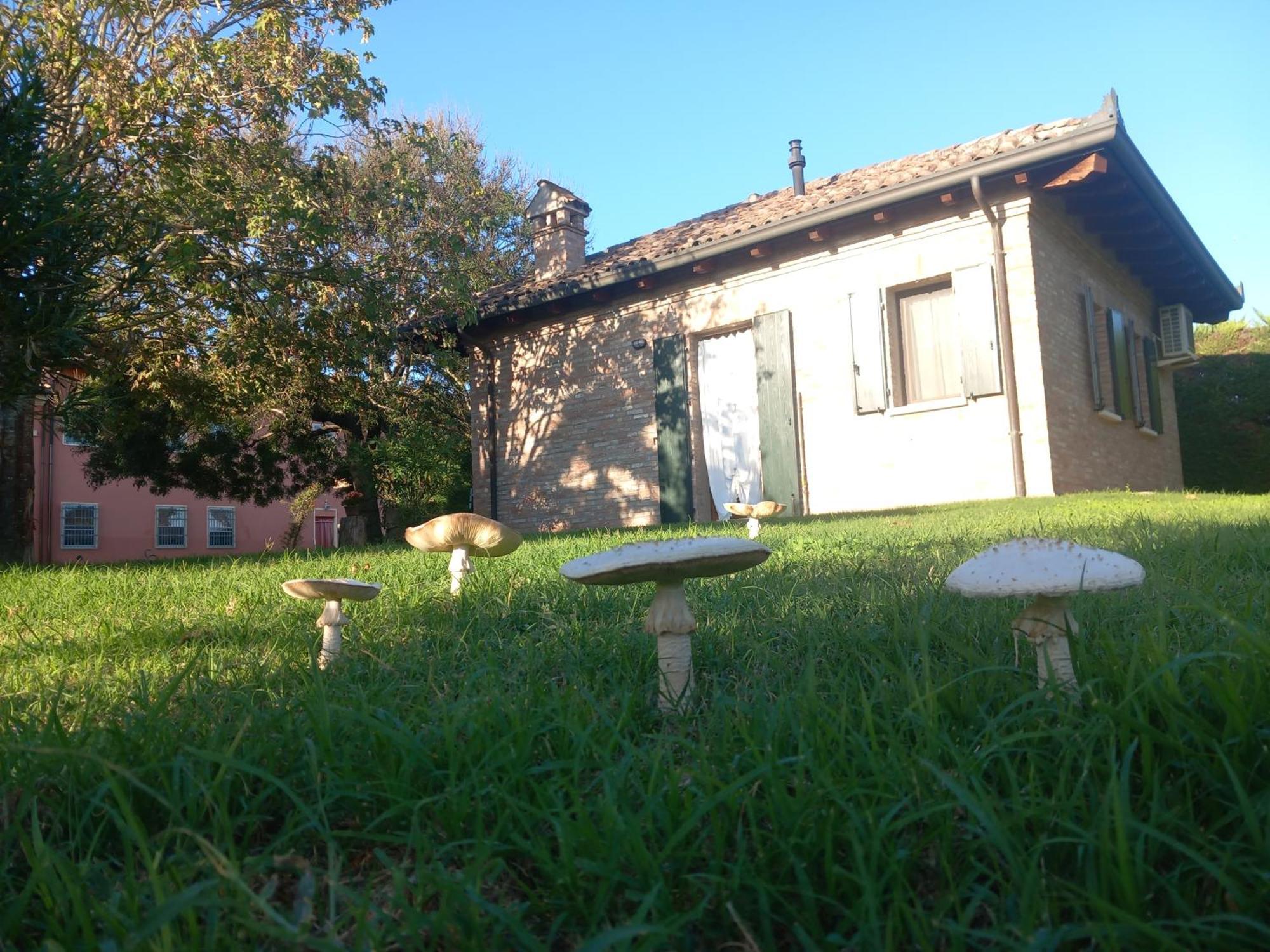 Agriturismo Fondo Novelle La Casina Ferrara Luaran gambar
